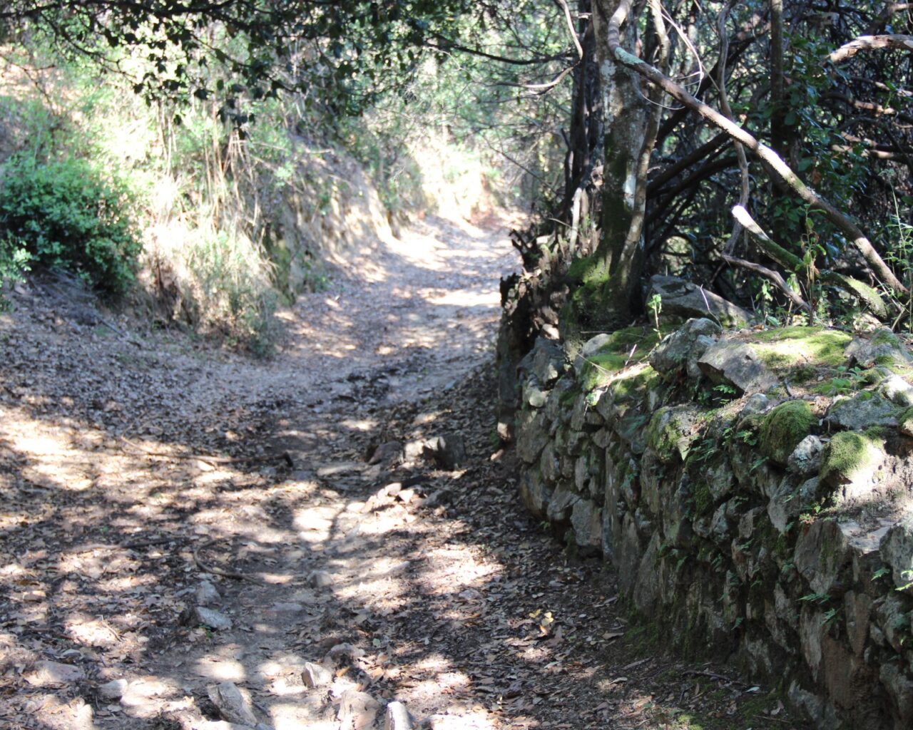 01 Le sentier vers le dolmen de Tremica