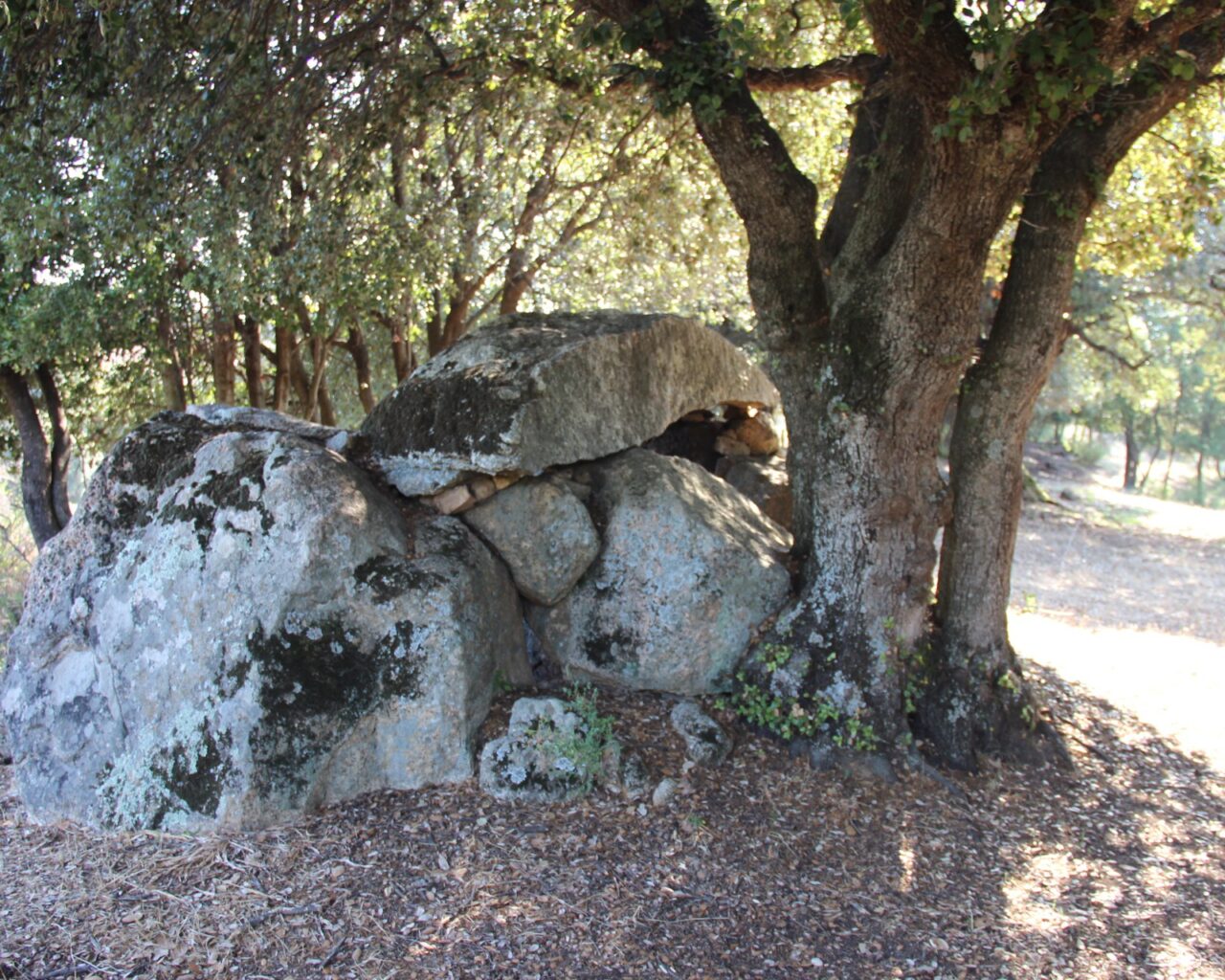 04 Le dolmen de tremica