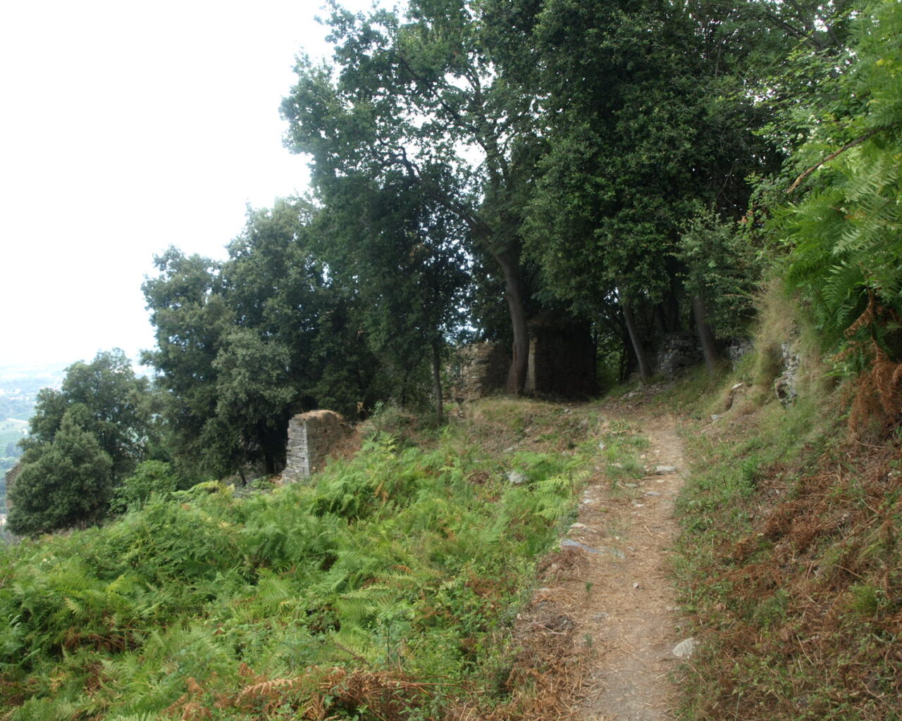 05 Sentier qui mene au hameau ruine de Raghja