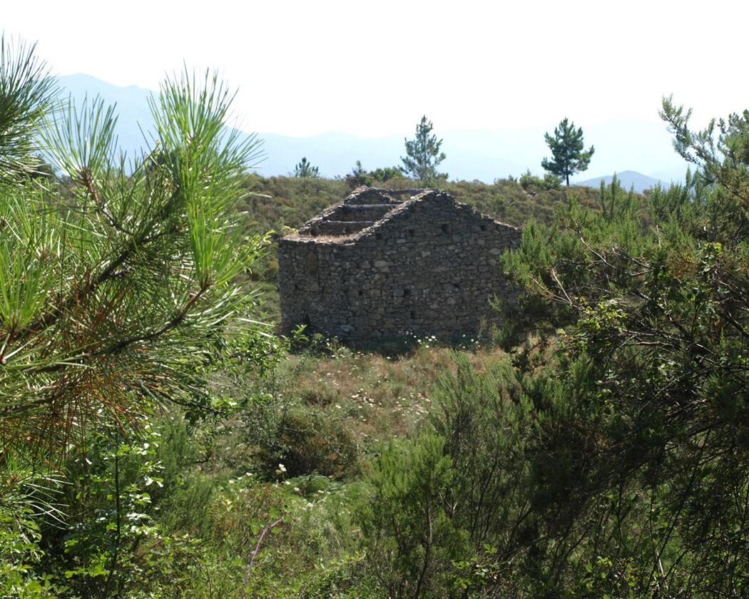 12 Maison ou bergerie en ruines