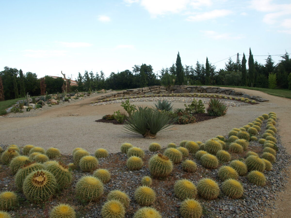 18 Fabuleux parc des cactus