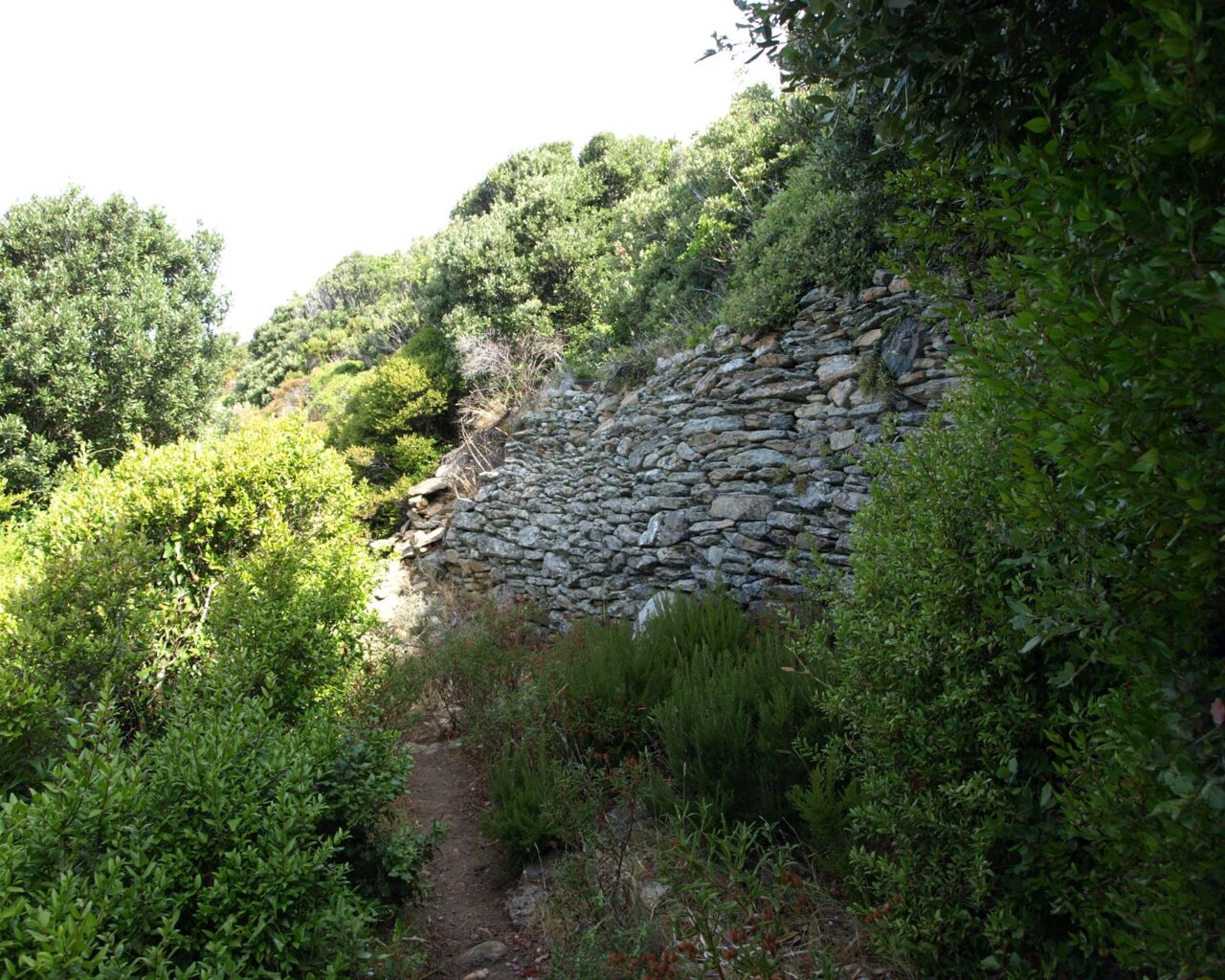 10 Sentier borde dun mur en pierres seches