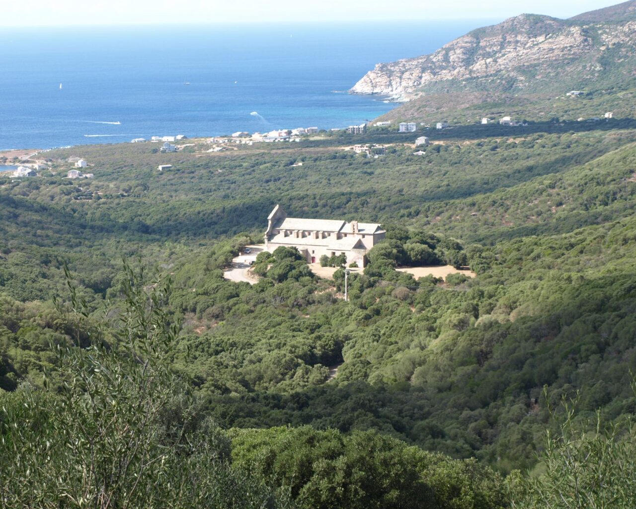 18 Le couvent et son eglise sont situes au milieu dune Yeuseraie