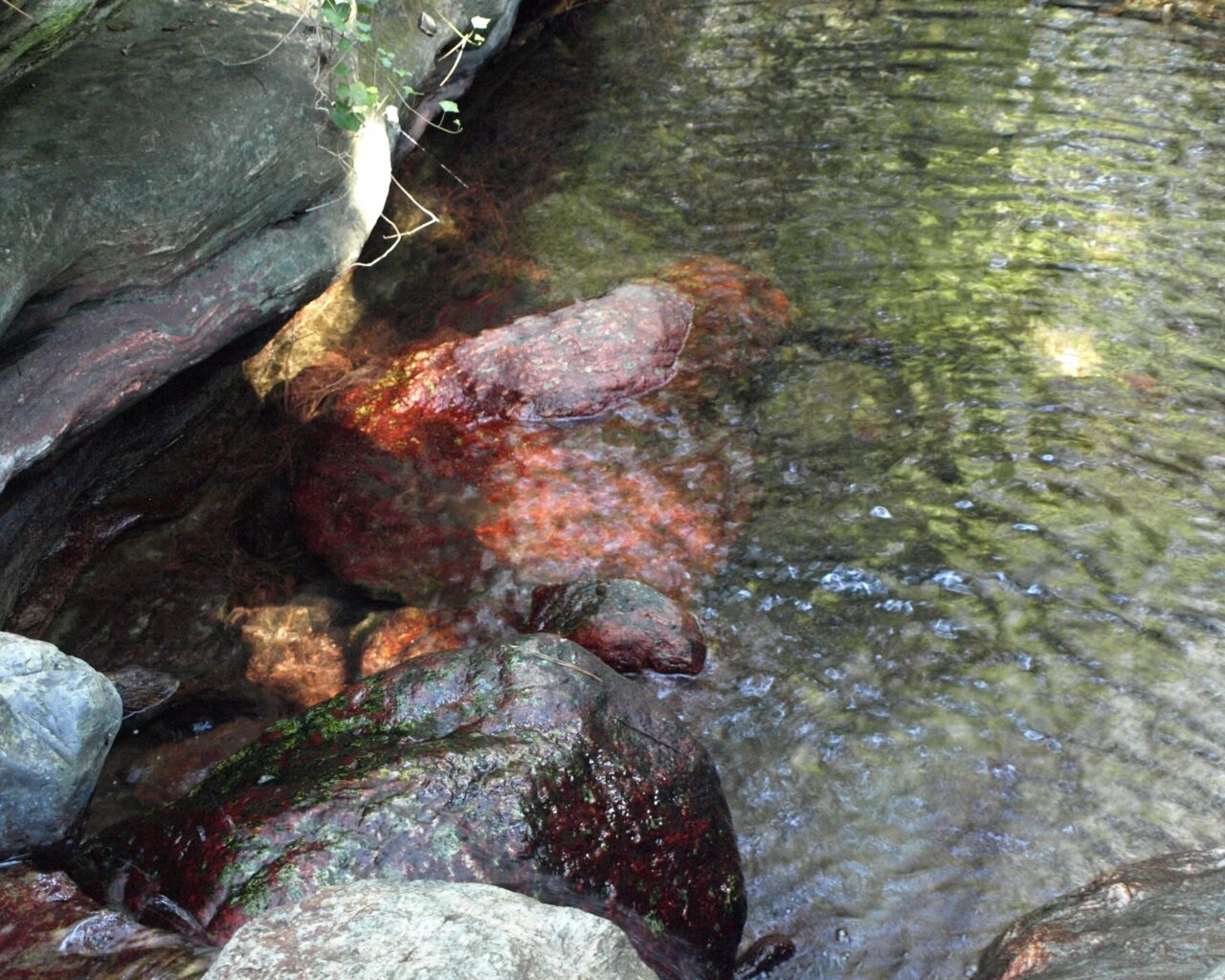 22 Roche rouge dans le ruisseau de Guadone