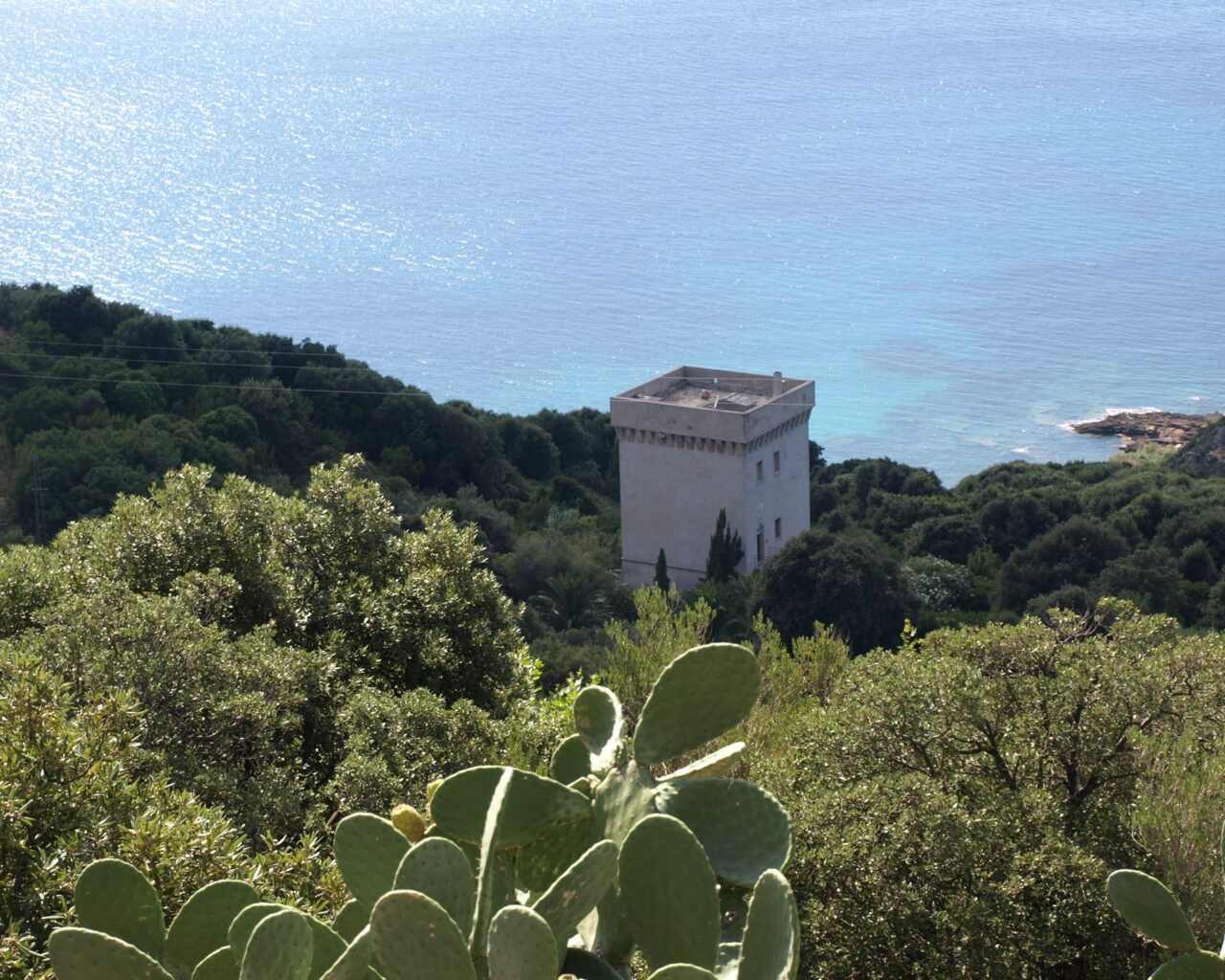 23 La tour du hameau de Camorsiglia vue depuis le sentier