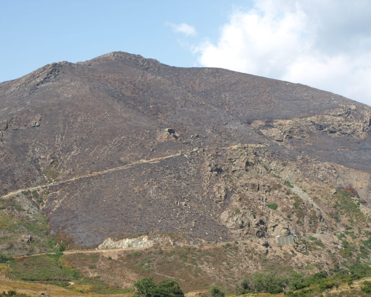 24 Paysage devaste par les incendies entre Olmeta di Tuda et Oletta