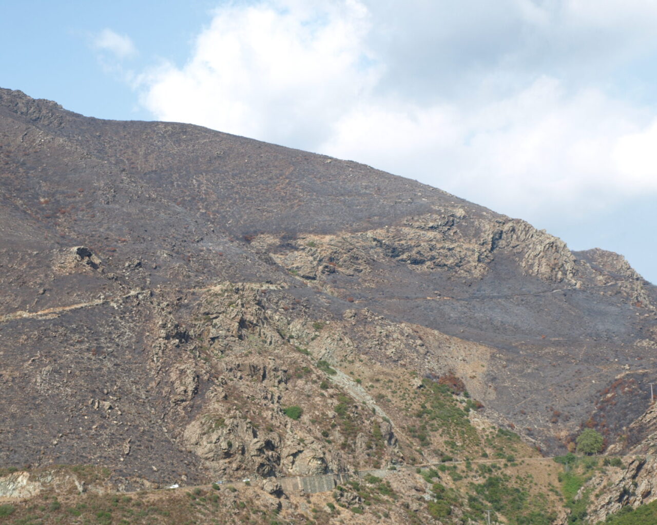 26 Paysage devaste par les incendies entre Olmeta di Tuda et Oletta