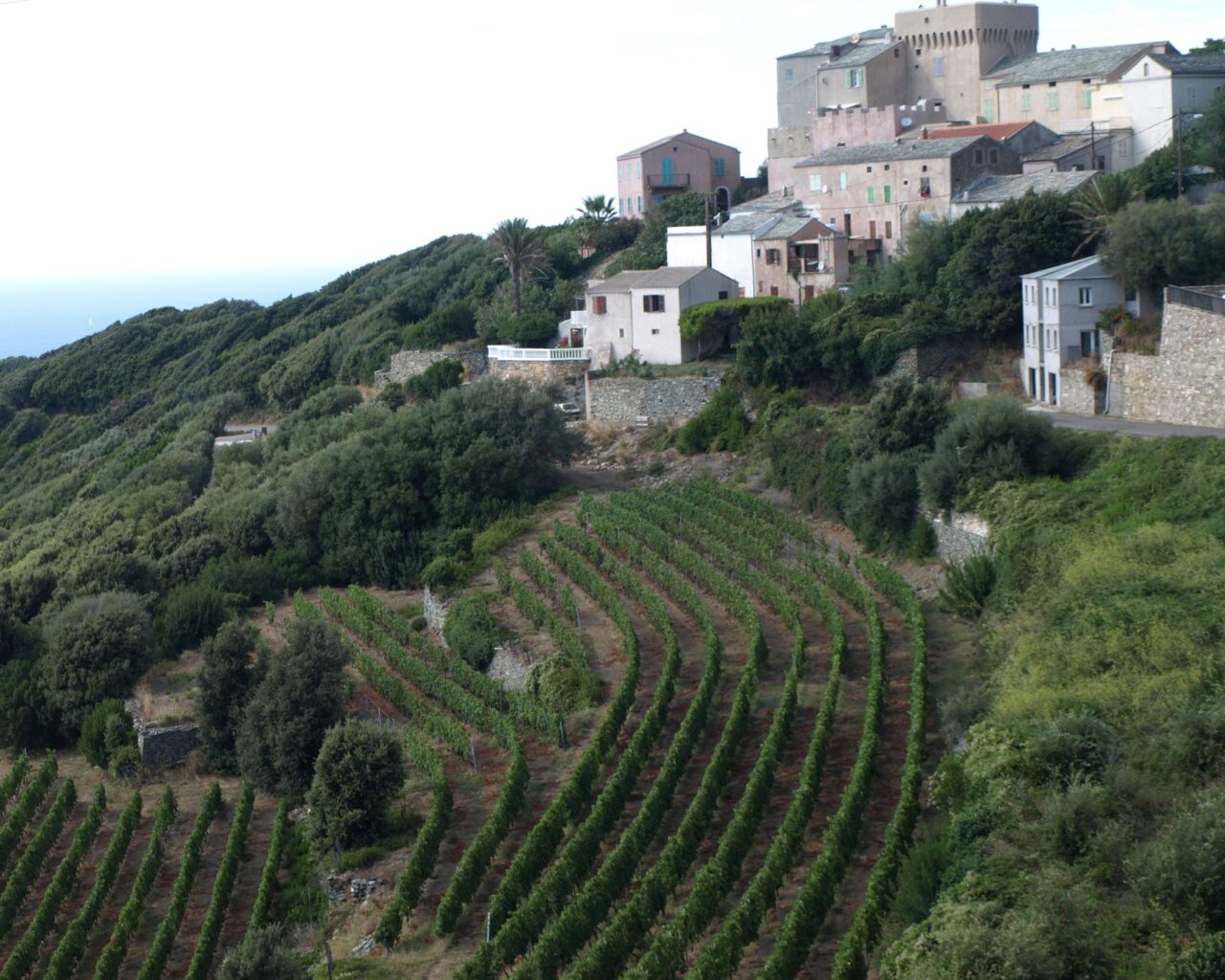 26 Vue du hameau de Stanti et sur les vignes