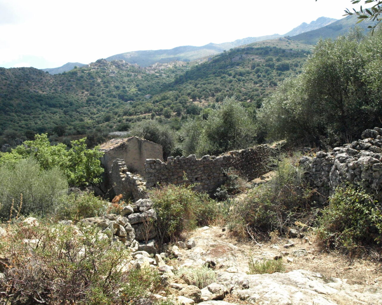 17 Ruines de lancien village de Giustiniani abandonne au XVIeme siecle