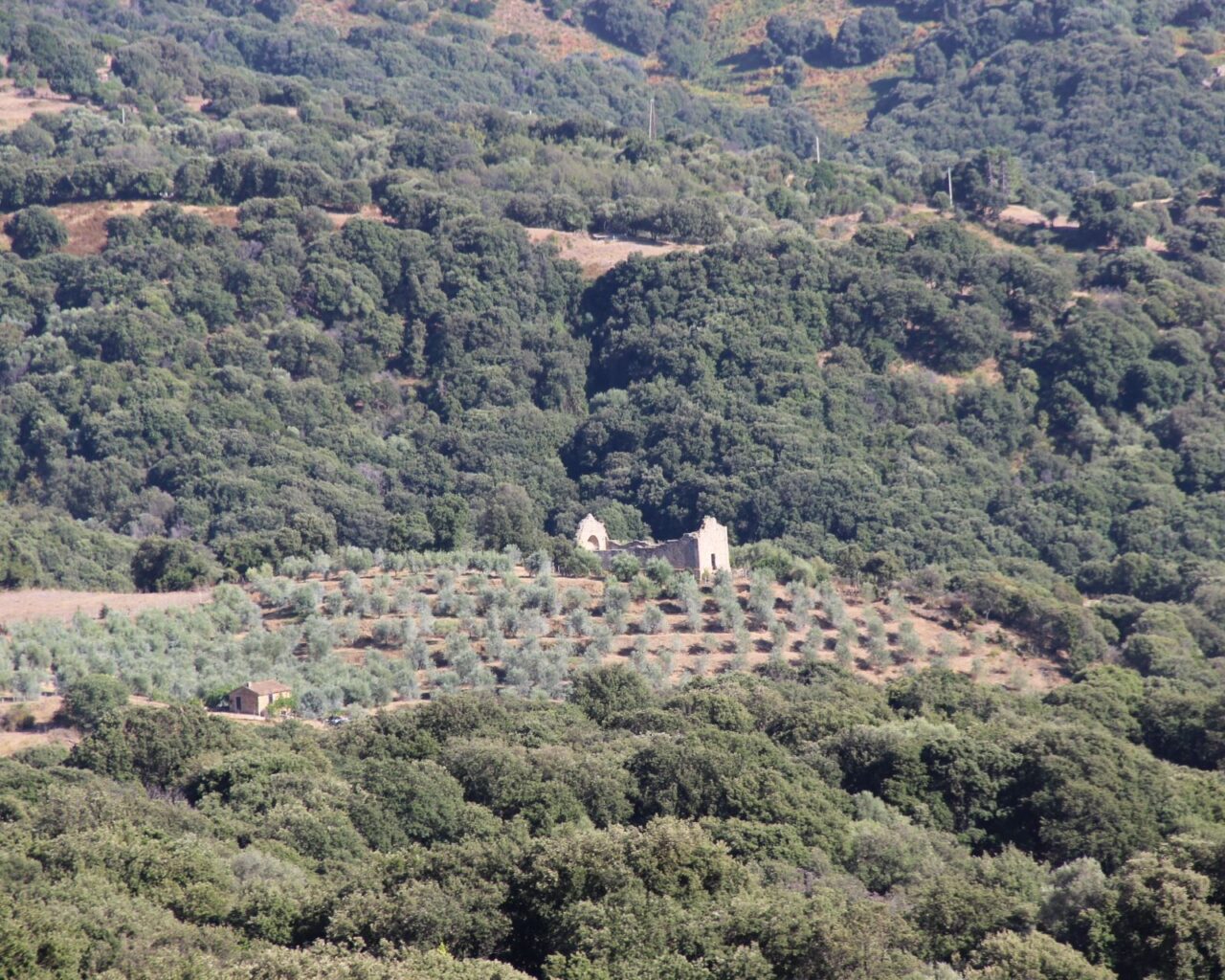 021 vue depuis la route de San Andrea d’Orcino