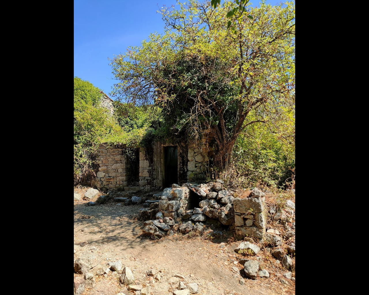 11 Les ruines du village de Tassu