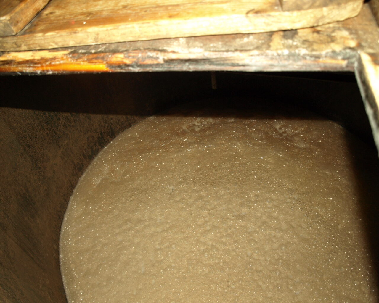 08 - La fermentation