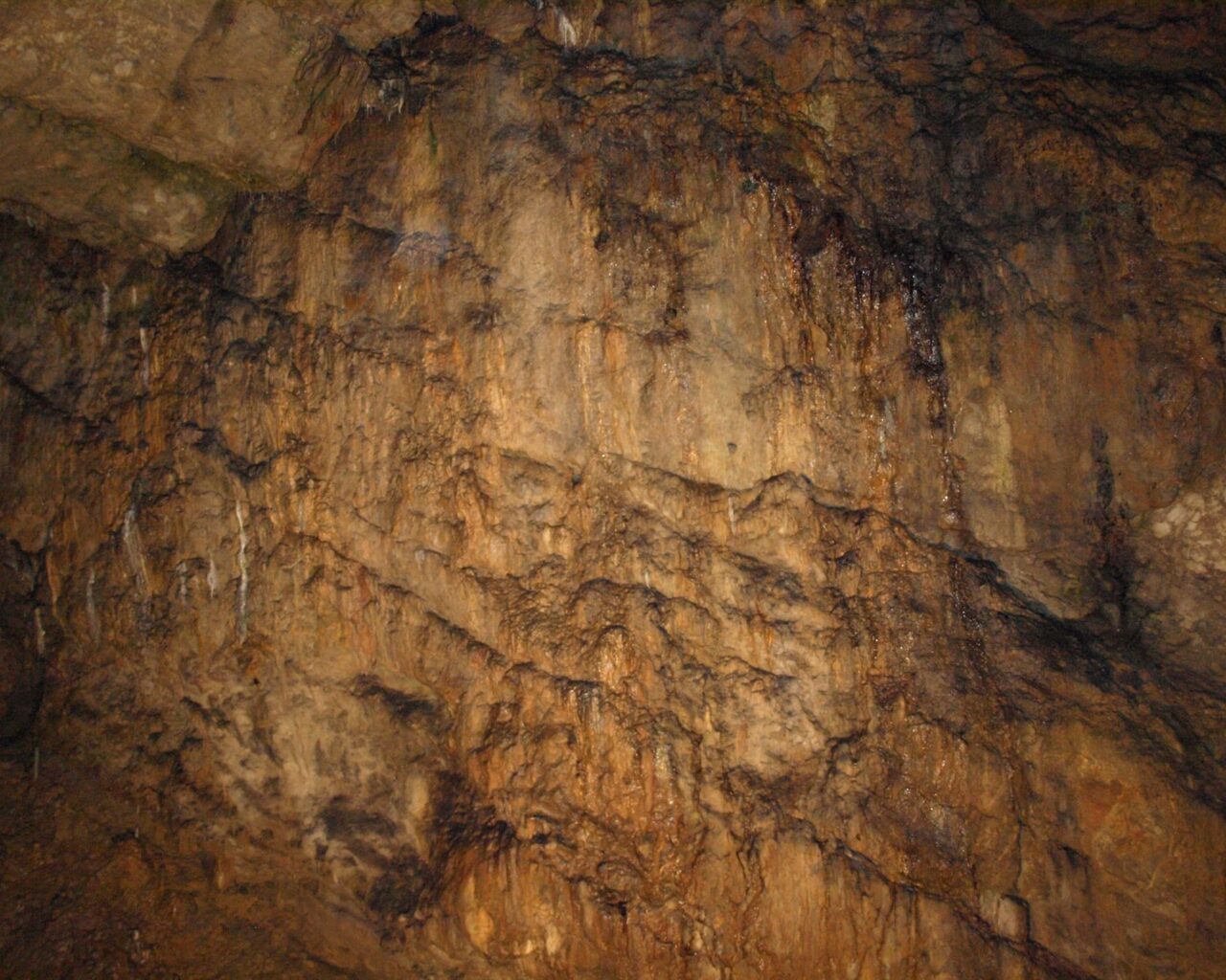 10 Les Grottes de Han sur Lesse