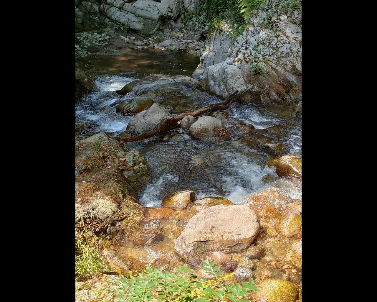 14 Le ruisseau du Prunelli