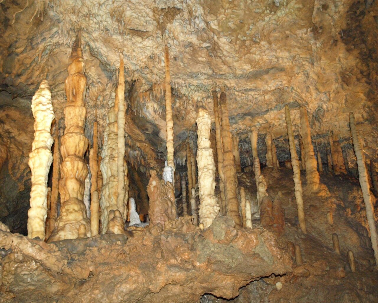 16 Les Grottes de Han sur Lesse