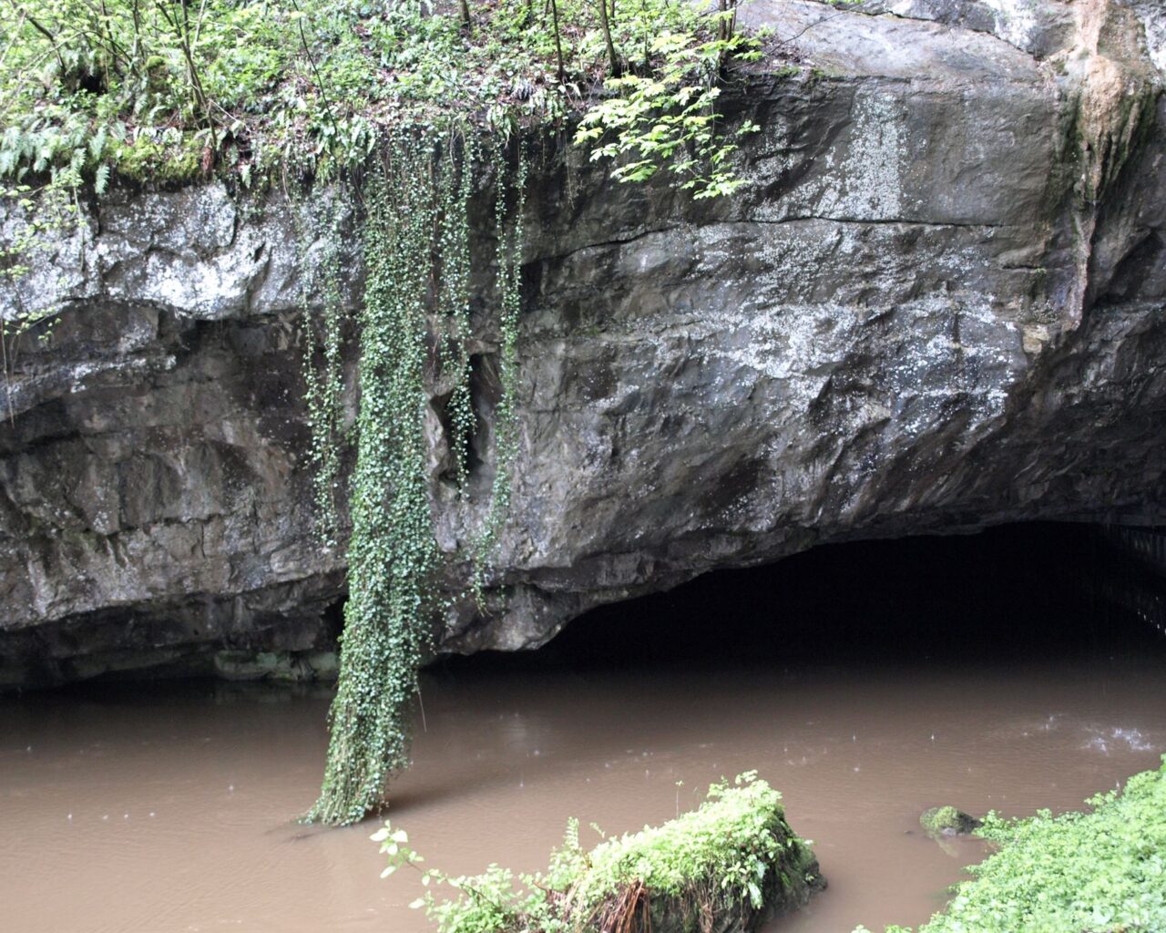 30 Les Grottes de Han sur Lesse