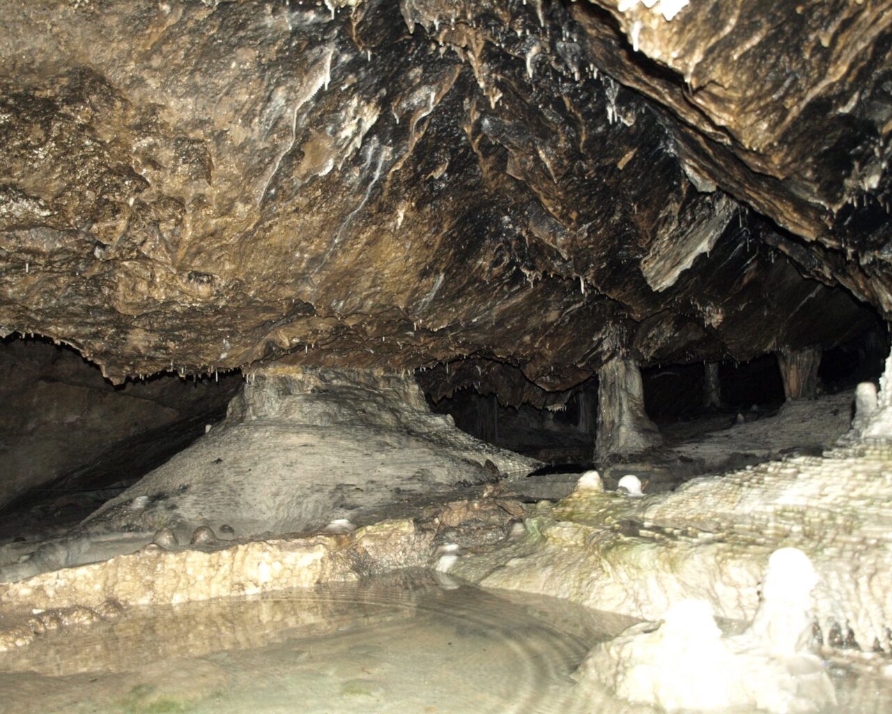 31 Les Grottes de Han sur Lesse