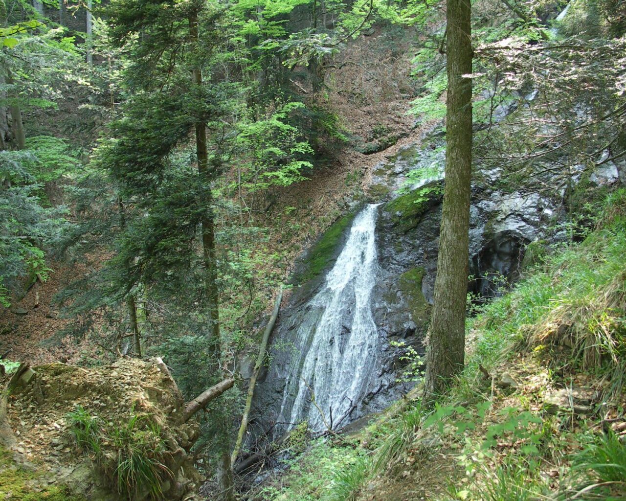 13 La cascade dévale les rochers d'une paroi dans un agréable site forestier.
