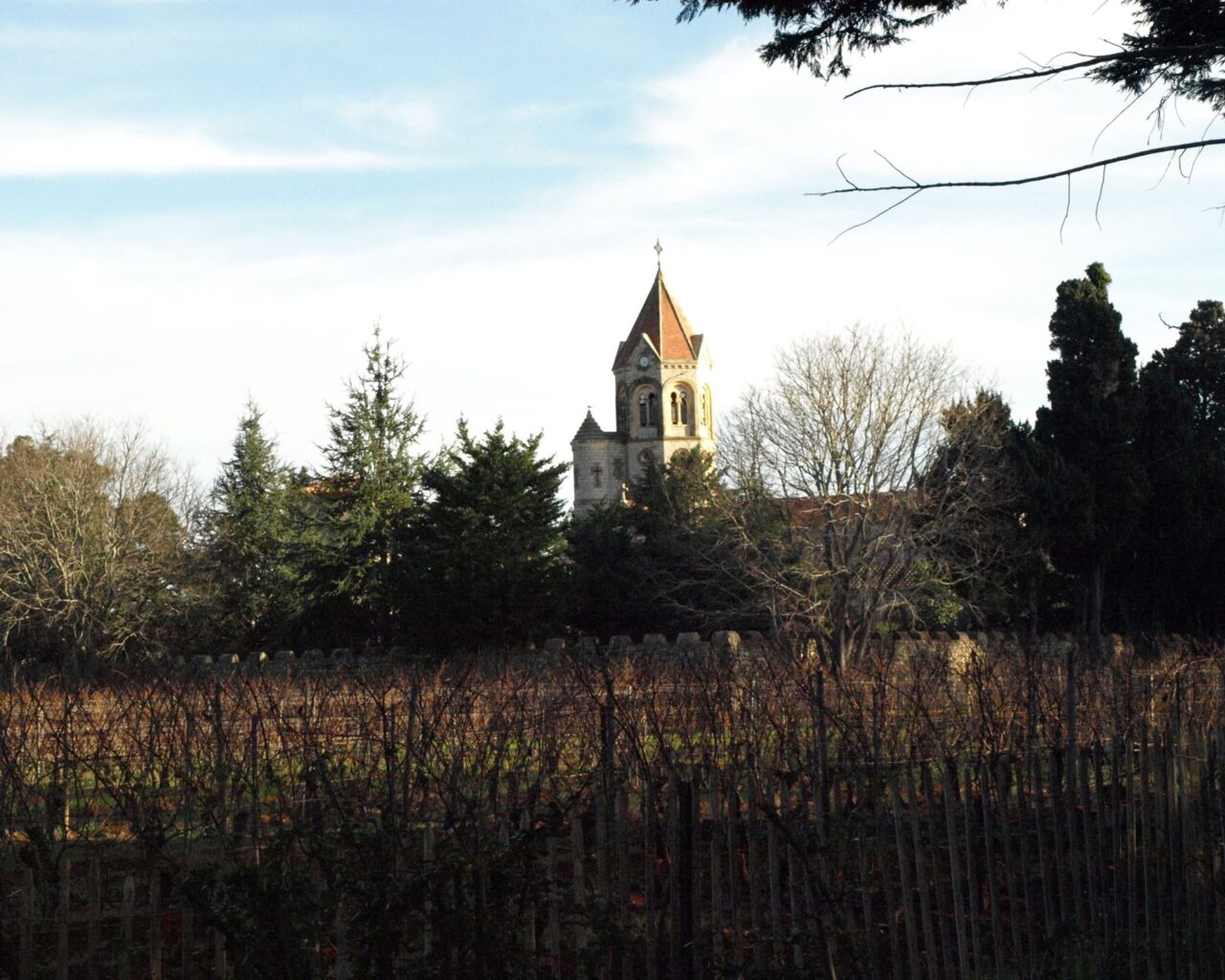 35 Le vignoble de l'île, avec le monastère de l'abbaye de Lérins en arrière plan