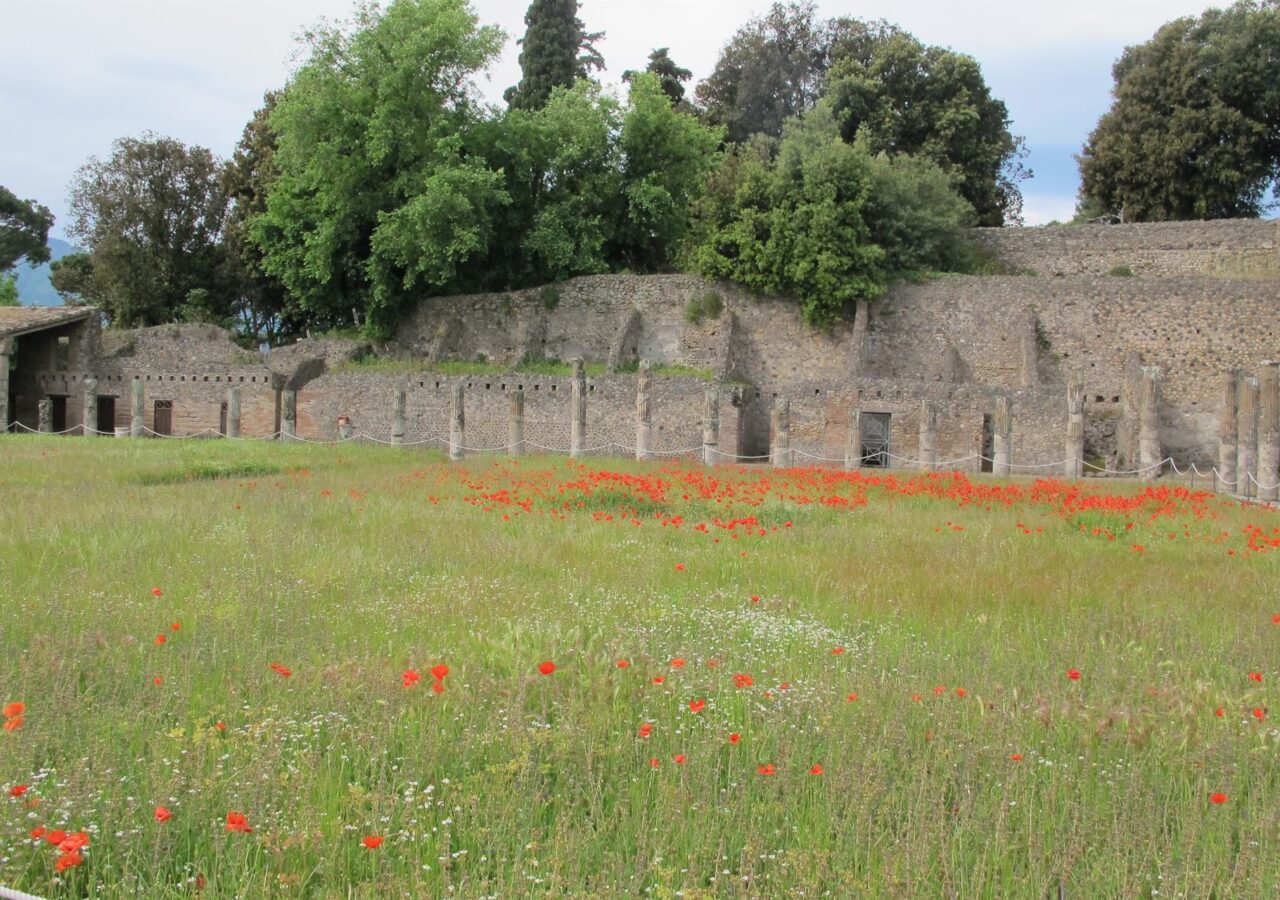 02 Site archéologique de Pompéi