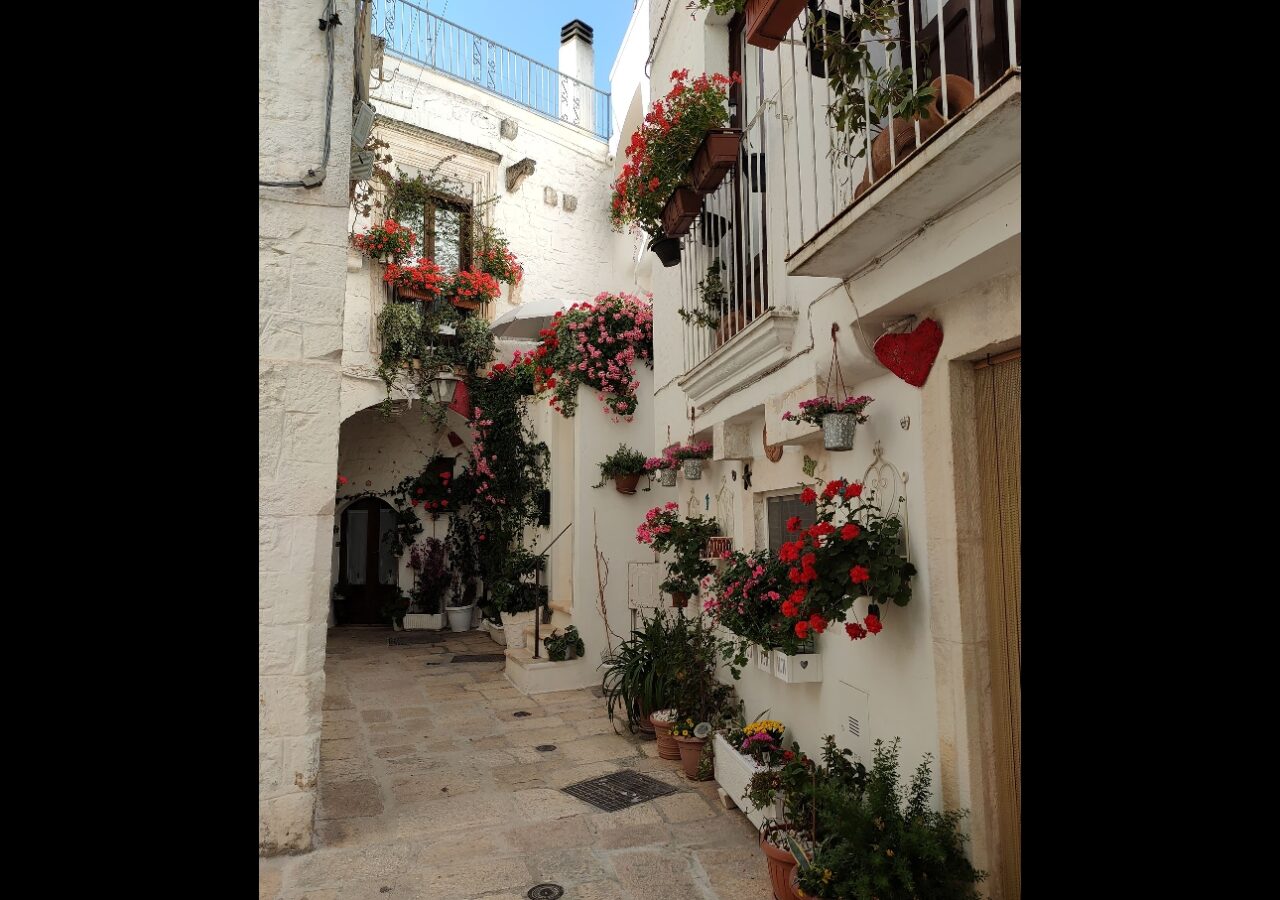 18 Ruelles étroites bordées d'habitations blanches et fleuries