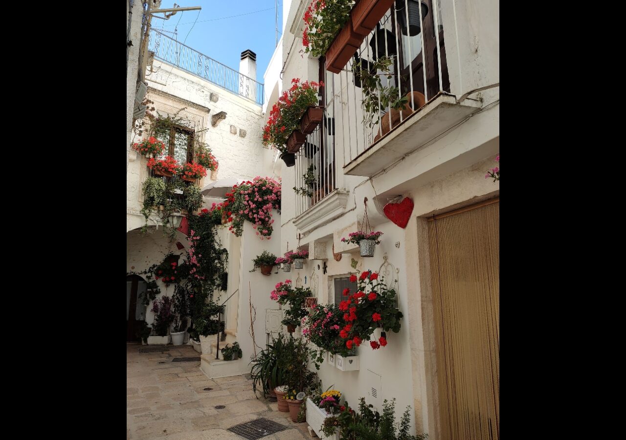 19 Ruelles étroites bordées d'habitations blanches et fleuries